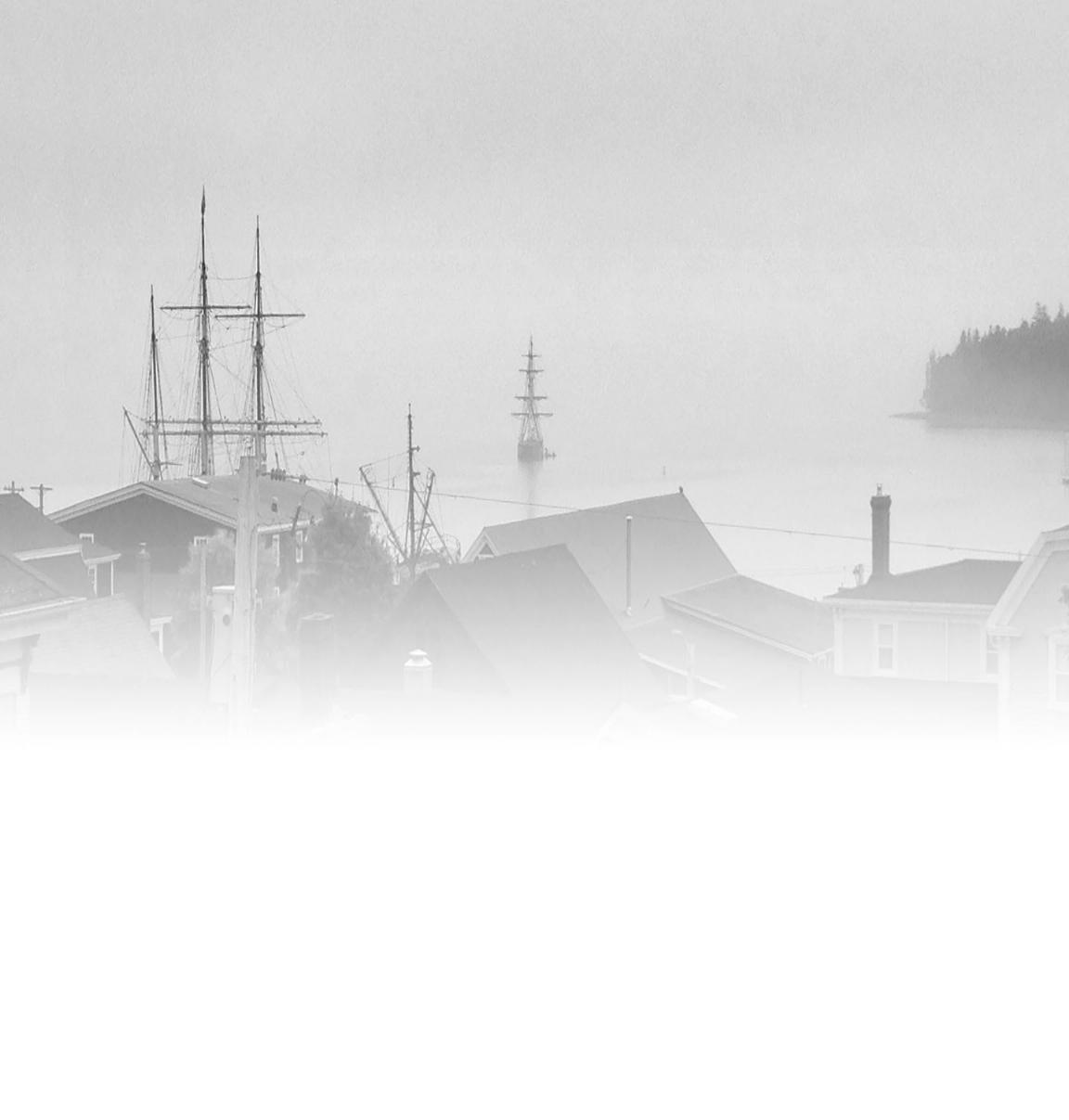 TallShipsinHarbour