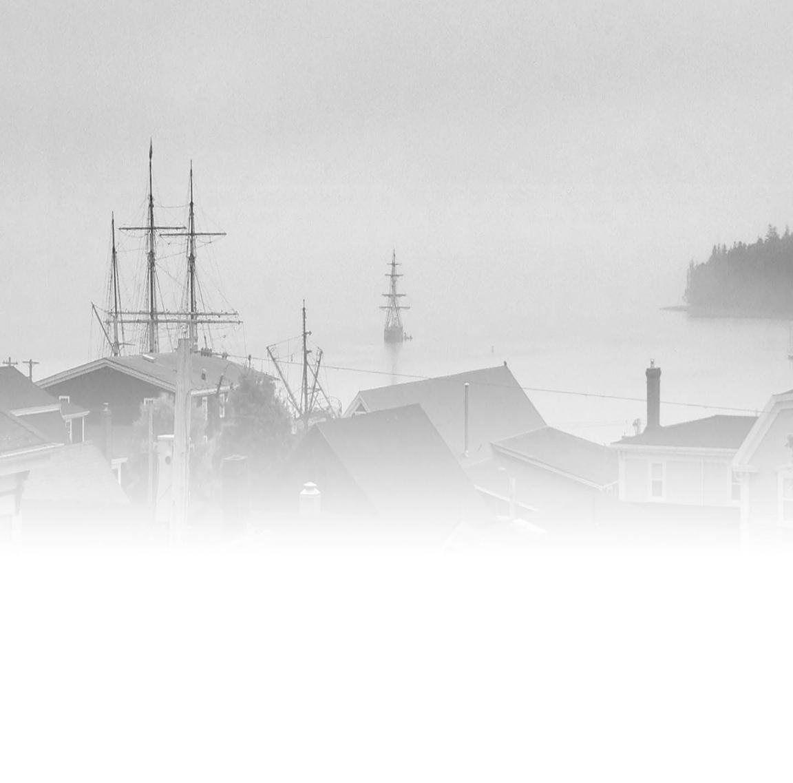 TallShipsinHarbour
